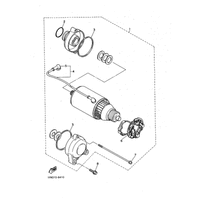 STARTING MOTOR