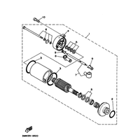 STARTING MOTOR