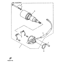 STARTING MOTOR