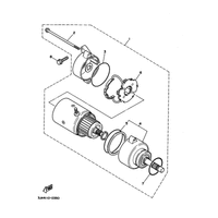 STARTING MOTOR