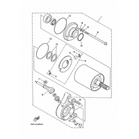 STARTING MOTOR