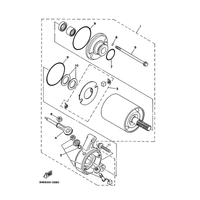 STARTING MOTOR