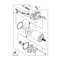 STARTING MOTOR