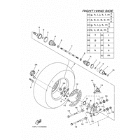 HINTERRAD 2