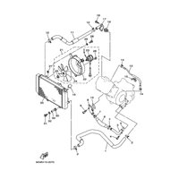 RADIATOR & HOSE