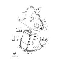 RADIATOR & HOSE