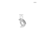 OPTIONSTEILE(RITZEL)