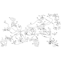 ELEKTRISCHES SYSTEM / HOMOLOGATION